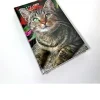 Agenda Cats giornaliera 2017