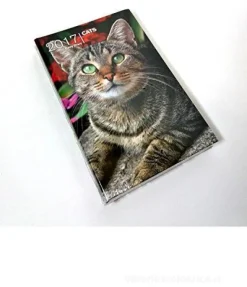 Agenda Cats giornaliera 2017