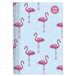 Agenda 2018-2019 giornaliera 16 mesi Collegetimer Flamingo