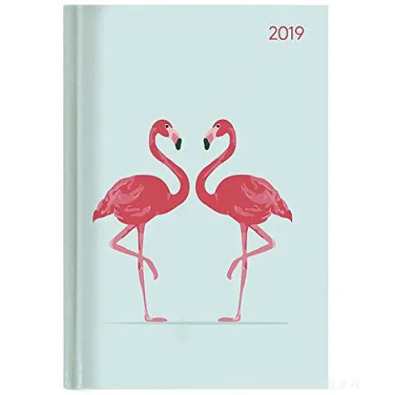 Agenda 2019 giornaliera 12 mesi Ladytimer Style Flamingos