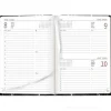Agenda giornaliera 12 mesi 2025 Style Marble