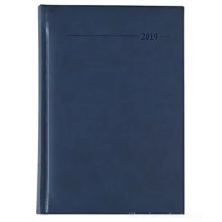 Agenda 2019 giornaliera 12 mesi Tucson Blue