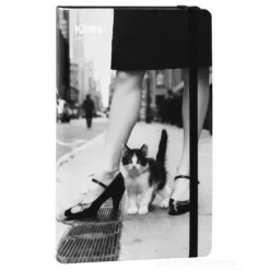 Agenda giornaliera 16 mesi 13x21 Gatto