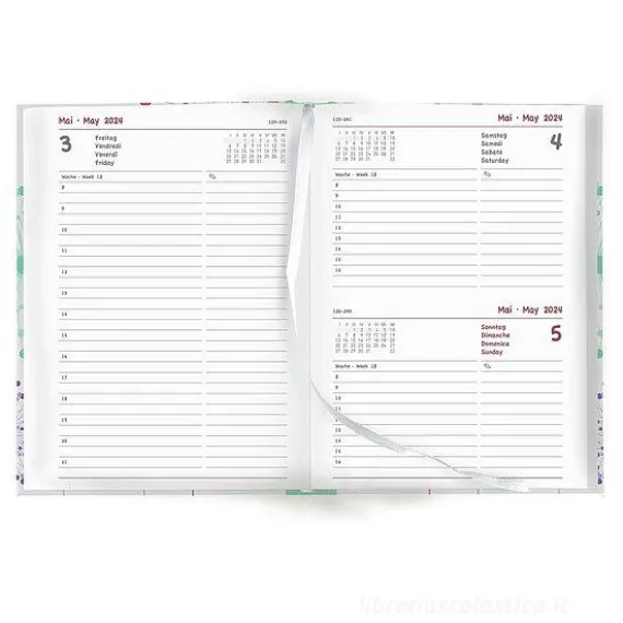 Agenda 12 mesi giornaliera 2023/2024 Collegetimer Blowballs cm 15x21