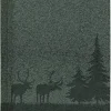 Agenda 12 mesi giornaliera 2021 Nature Line A5 Pine