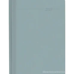 Agenda 12 mesi giornaliera 2024 352 pagine Sydney Silver cm 10,7x15,2