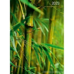 Agenda 12 mesi giornaliera 2023 Style Zen