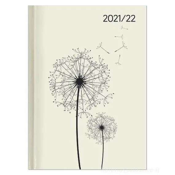 Agenda 17 mesi settimanale Campustimer 2022 Blowballs A6