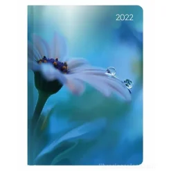 Agenda 12 mesi settimanale 2022 Ladytimer Midi Waterdrops