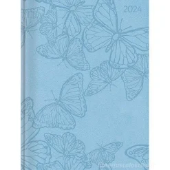 Agenda 12 mesi settimanale 2024 Ladytimer Deluxe Sky cm 10,7x15,2