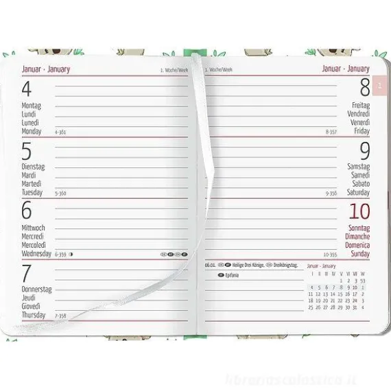 Agenda 12 mesi settimanale 2024 Ladytimer Mini Koala cm 8x11,5