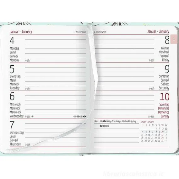 Agenda 12 mesi settimanale 2024 Ladytimer Mini Blowballs cm 8x11,5