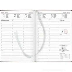 Agenda 12 mesi settimanale 2024 Ladytimer Deluxe Salmon cm 10,7x15,2