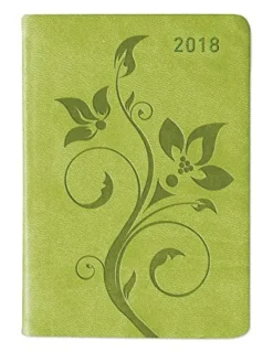 Agenda settimanale Ladytimer Mini Deluxe 2018 Lime