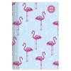 Agenda 2018-2019 settimanale 16 mesi Collegetimer Pocket Flamingo