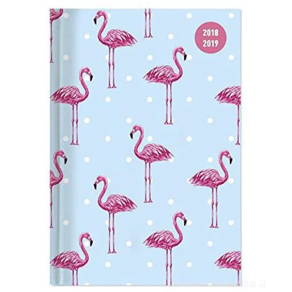 Agenda 2018-2019 settimanale 16 mesi Collegetimer Pocket Flamingo