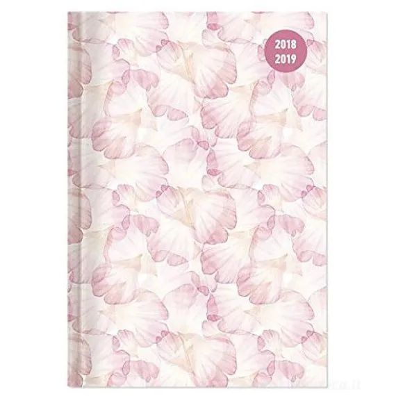 Agenda 2018-2019 settimanale 16 mesi Collegetimer Pastel