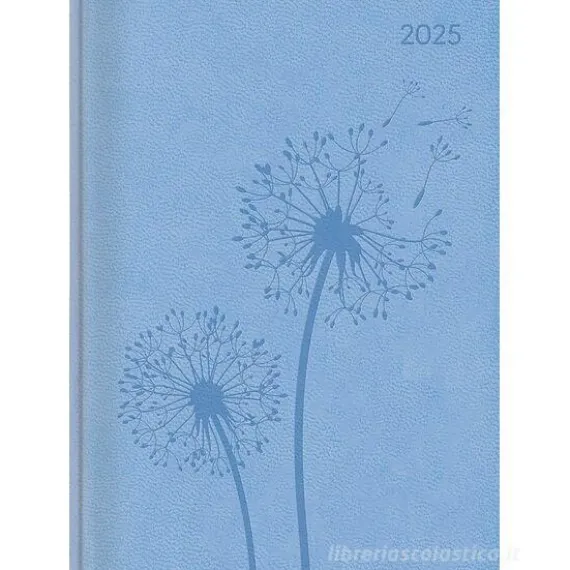 Agenda settimanale 12 mesi 2025 Ladytimer Deluxe Sky