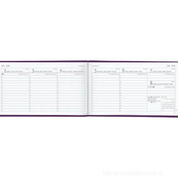 Agenda settimanale 12 mesi 2025 Ladytimer TO GO Deluxe Purple