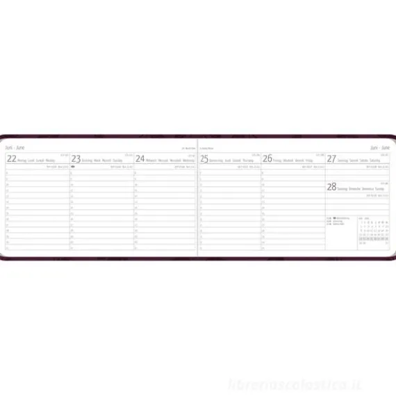 Agenda settimanale 12 mesi 2026 Ladytimer TO GO Deluxe Purple cm 15x8,7