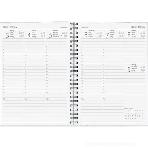 Agenda settimanale 12 mesi 2025 Ladytimer spiralata Statement