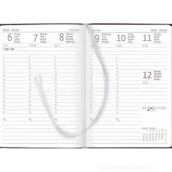 Agenda settimanale 12 mesi 2025 Ladytimer Deluxe Purple