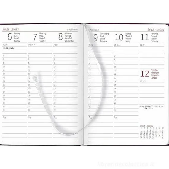 Agenda settimanale 12 mesi 2025 Ladytimer Deluxe Purple