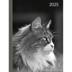 Agenda settimanale 12 mesi 2025 Lady Journal Cat