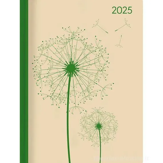 Agenda settimanale 12 mesi 2025 Ladytimer Blowballs