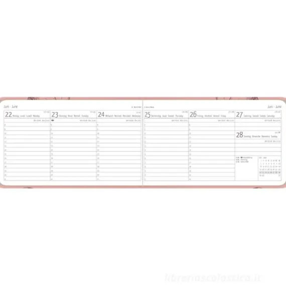 Agenda settimanale 12 mesi 2026 Ladytimer TO GO Deluxe Salmon cm 15x8,7