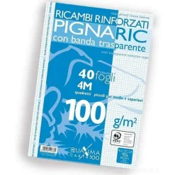 Blocco 40 fogli ricambio rinforzati A4 PignaRic a quadretti 4 mm