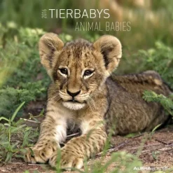 Calendario 2016 Animal Babies