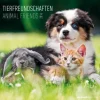 Calendario 2016 Animal Friends