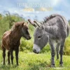 Calendario 2023 Animal Friendship 30x30