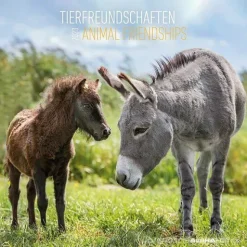 Calendario 2023 Animal Friendship 30x30