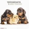 Calendario 2019 Animal Friendship 30x30 cm