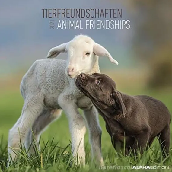 Calendario 2021 Animal Friendship 30x30