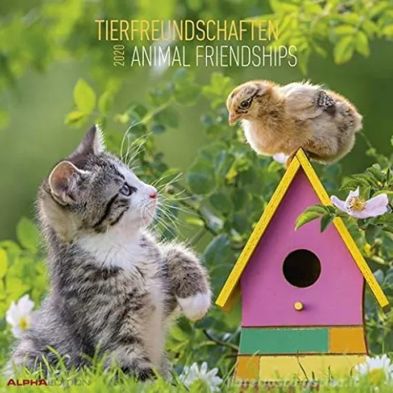 Calendario 2020 Animal Friendship 30x30 cm