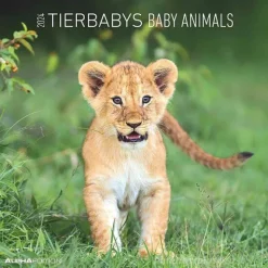 Calendario 2024 Baby Animals cm 30x30