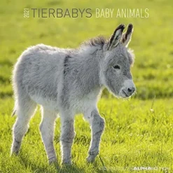 Calendario 2021 Baby Animals 30x30