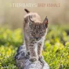 Calendario 2023 Baby Animals 30x30