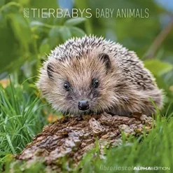 Calendario 2020 Baby Animals 30x30 cm