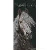 Calendario 2024 Beautiful Horses cm 30x70