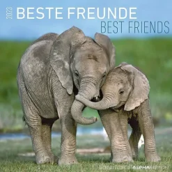 Calendario 2023 Best Friends 30x30
