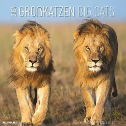 Calendario 2024 Big Cats cm 30x30