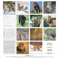 Calendario 2025 Big Cats cm 30x30