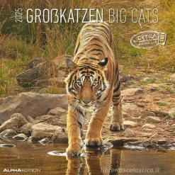 Calendario 2025 Big Cats cm 30x30
