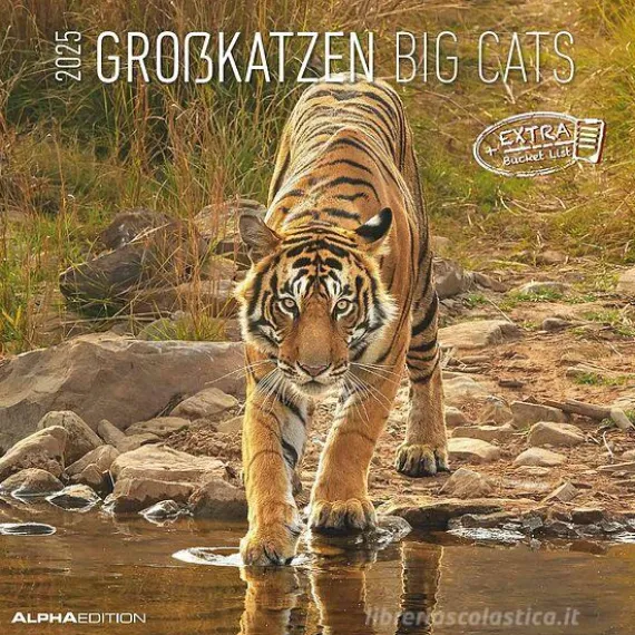 Calendario 2025 Big Cats cm 30x30
