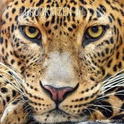 Calendario 2022 Big Cats 30x30