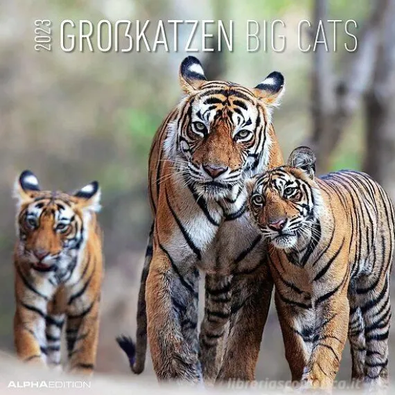Calendario 2023 Big Cats 30x30